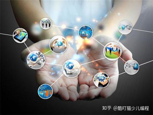 少兒編程教育的興起與企業(yè)網(wǎng)絡(luò)技術(shù)的未來融合